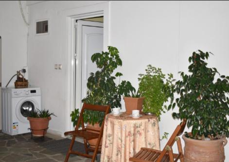 Zoe'S Apartment Bright&Cozy أثينا المظهر الخارجي الصورة