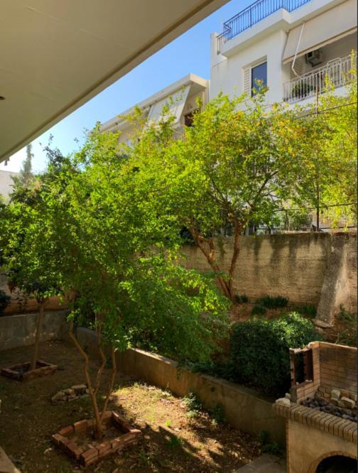Zoe'S Apartment Bright&Cozy أثينا المظهر الخارجي الصورة