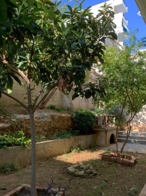 Zoe'S Apartment Bright&Cozy أثينا المظهر الخارجي الصورة