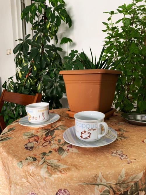 Zoe'S Apartment Bright&Cozy أثينا المظهر الخارجي الصورة